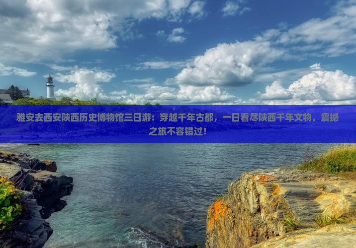 雅安去西安陕西历史博物馆三日游