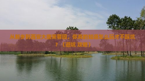 新乡到西安大唐芙蓉园必去地