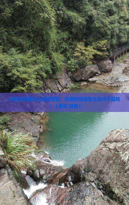 新乡到西安大唐芙蓉园必去地