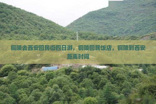 铜陵去西安回民街四日游