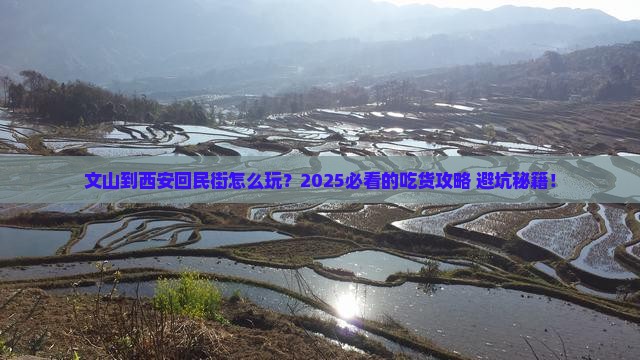 文山到西安回民街哪里玩