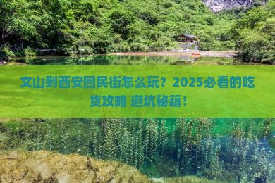 文山到西安回民街哪里玩