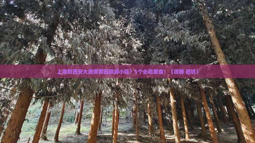 上海到西安大唐芙蓉园旅游小吃