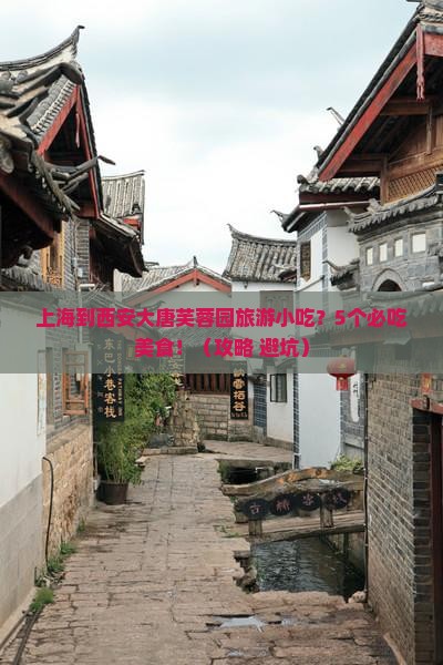 上海到西安大唐芙蓉园旅游小吃