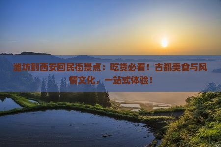 潍坊到西安回民街景点