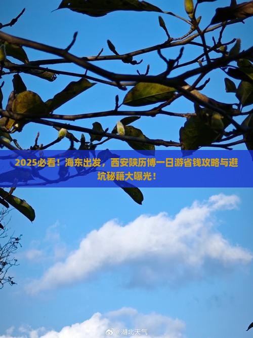 海东到西安陕西历史博物馆旅游