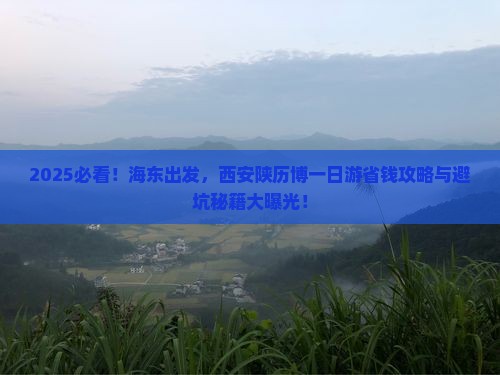 海东到西安陕西历史博物馆旅游