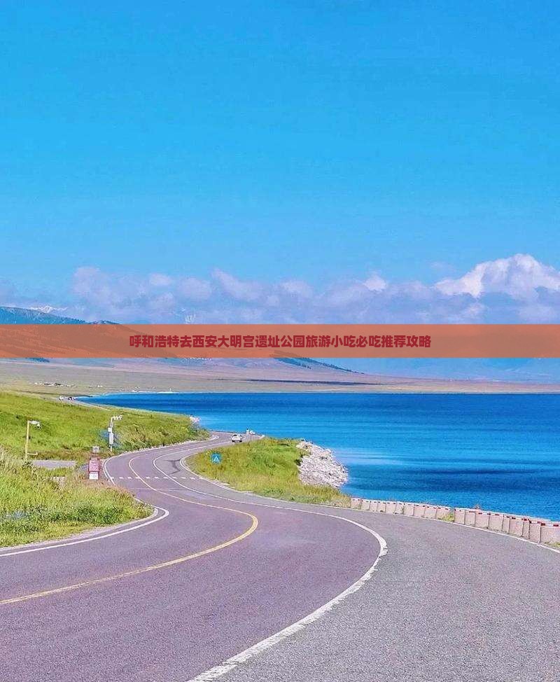 呼和浩特去西安大明宫国家遗址公园旅游小吃