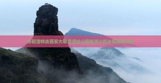呼和浩特去西安大明宫国家遗址公园旅游小吃
