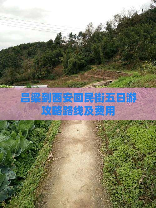吕梁到西安回民街五日游