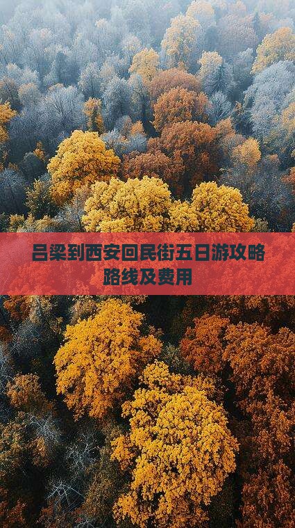 吕梁到西安回民街五日游