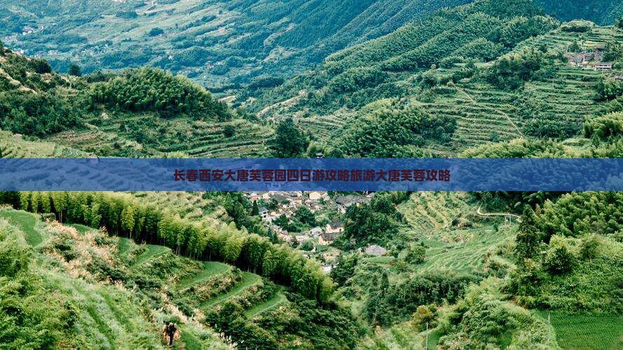长春到西安大唐芙蓉园四日游