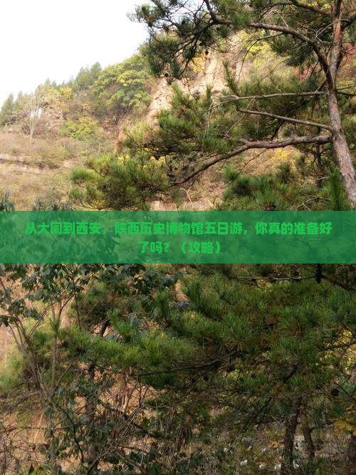 大同到西安陕西历史博物馆五日游