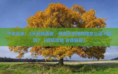 宁波到西安陕西历史博物馆自由行