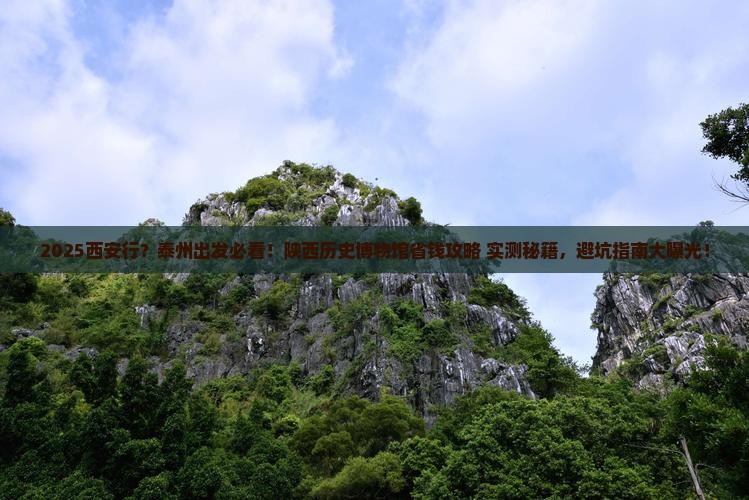 泰州去西安陕西历史博物馆旅行社