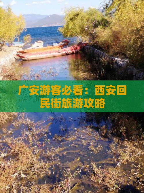 广安去西安回民街门票