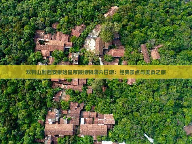 双鸭山到西安秦始皇帝陵博物院六日游