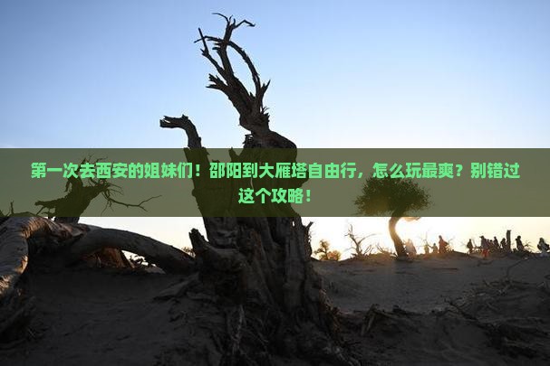 邵阳到西安大雁塔自由团