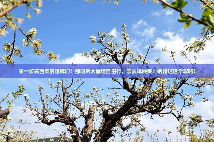 邵阳到西安大雁塔自由团