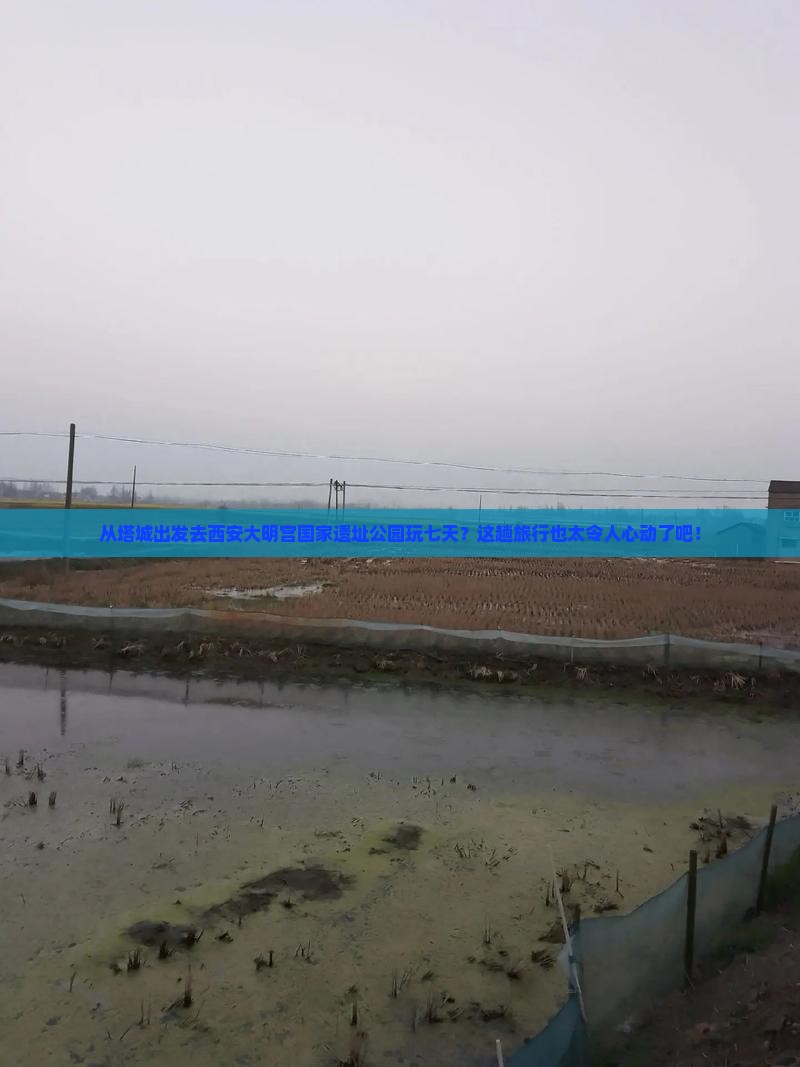塔城去西安大明宫国家遗址公园七日游