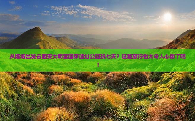 塔城去西安大明宫国家遗址公园七日游