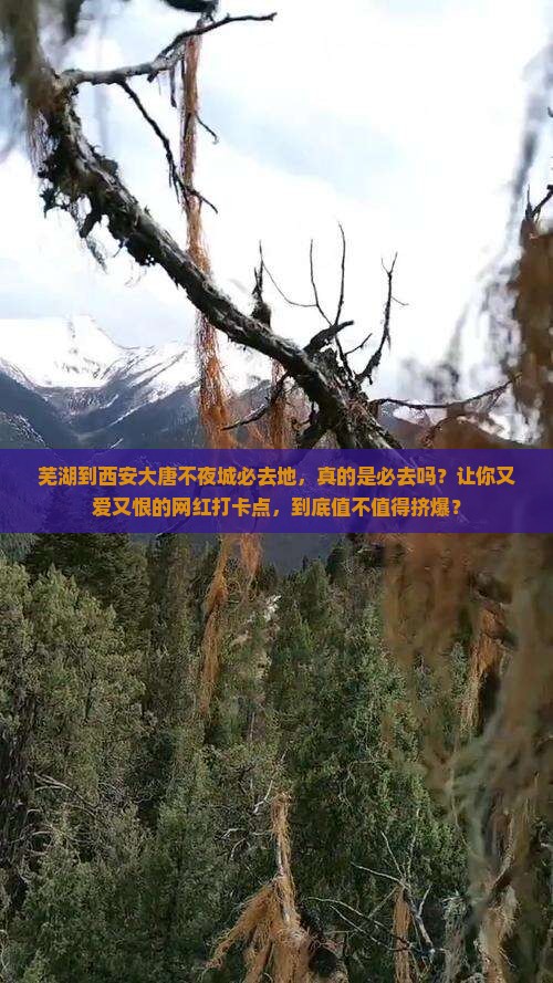 芜湖到西安大唐不夜城必去地