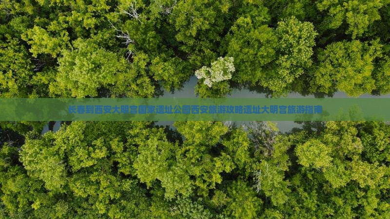 长春去西安大明宫国家遗址公园旅游