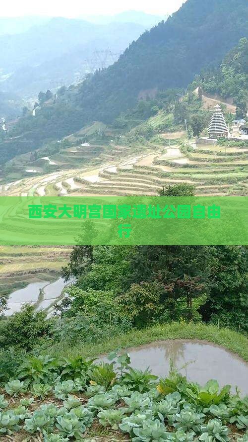 铜陵去西安大明宫国家遗址公园自由团