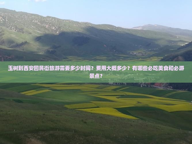 玉树到西安回民街旅游
