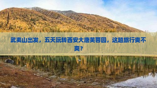 武夷山到西安大唐芙蓉园五日游