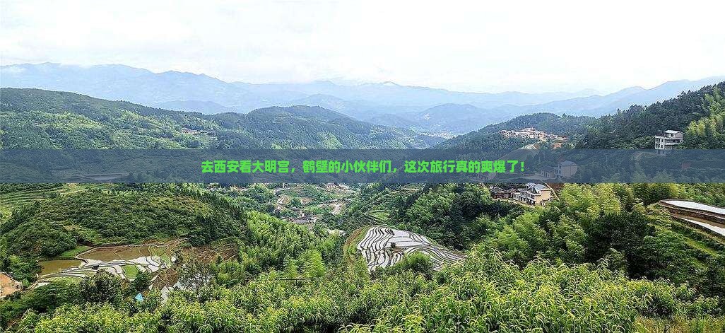 鹤壁去西安大明宫国家遗址公园团体旅游
