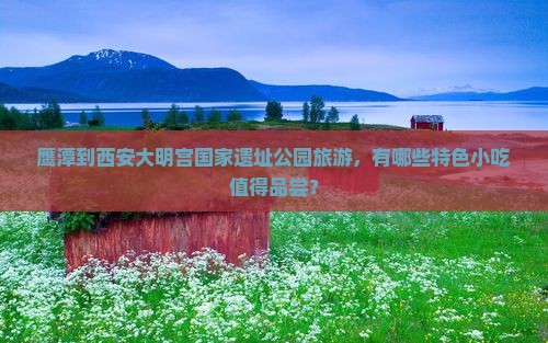鹰潭到西安大明宫国家遗址公园旅游小吃