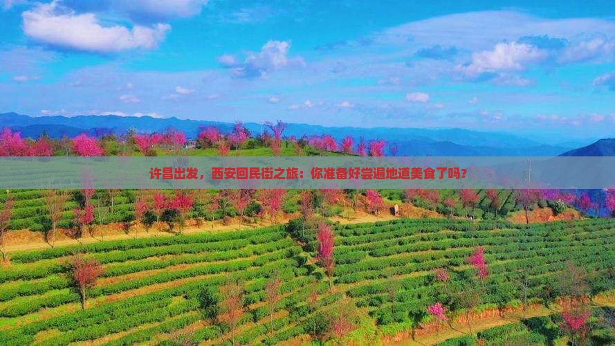 许昌去西安回民街团体旅游