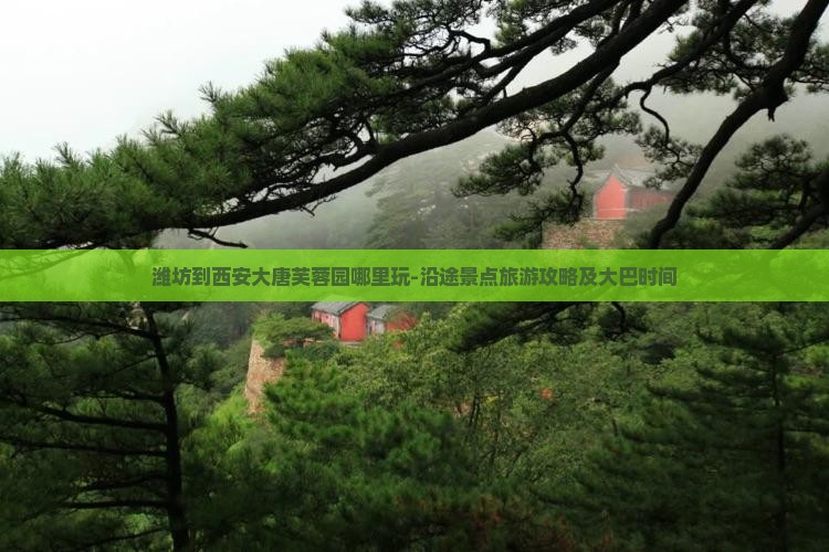 潍坊到西安大唐芙蓉园哪里玩