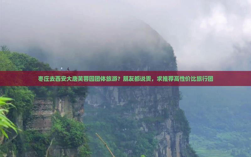 枣庄去西安大唐芙蓉园团体旅游
