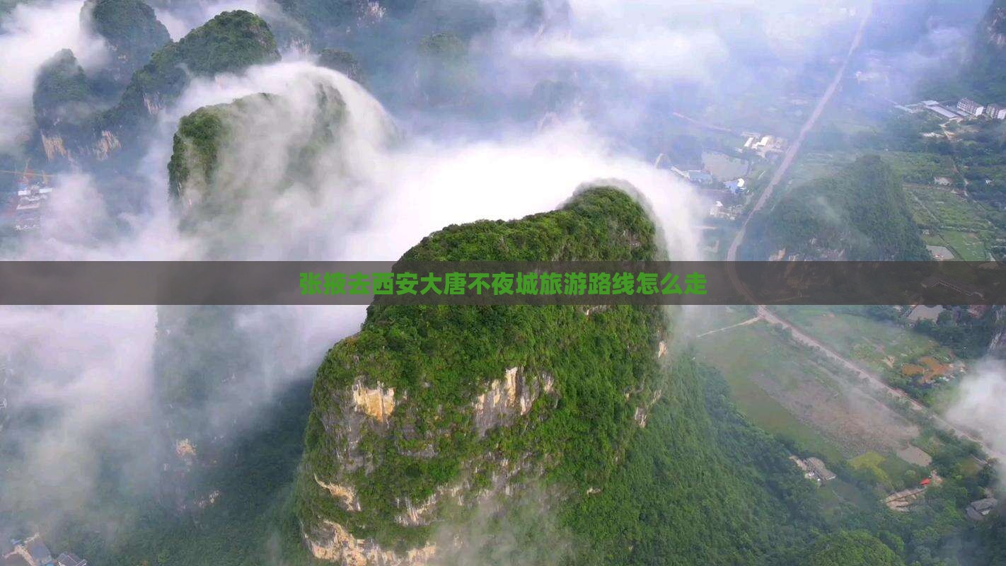 张掖去西安大唐不夜城旅游