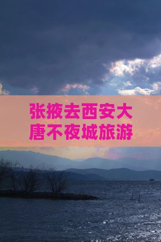 张掖去西安大唐不夜城旅游