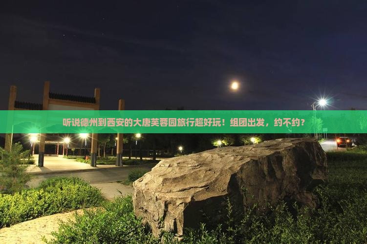德州去西安大唐芙蓉园大型旅游团