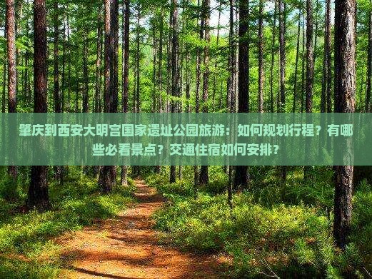 肇庆到西安大明宫国家遗址公园旅游