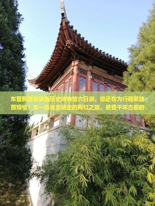 东营到西安陕西历史博物馆六日游