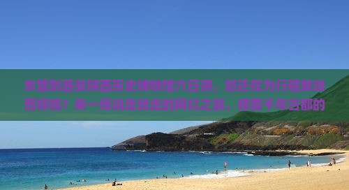 东营到西安陕西历史博物馆六日游