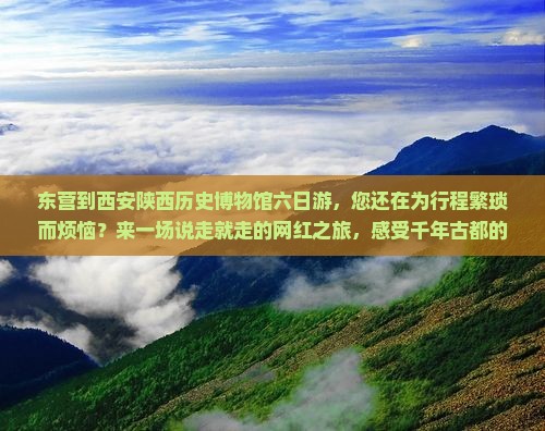 东营到西安陕西历史博物馆六日游