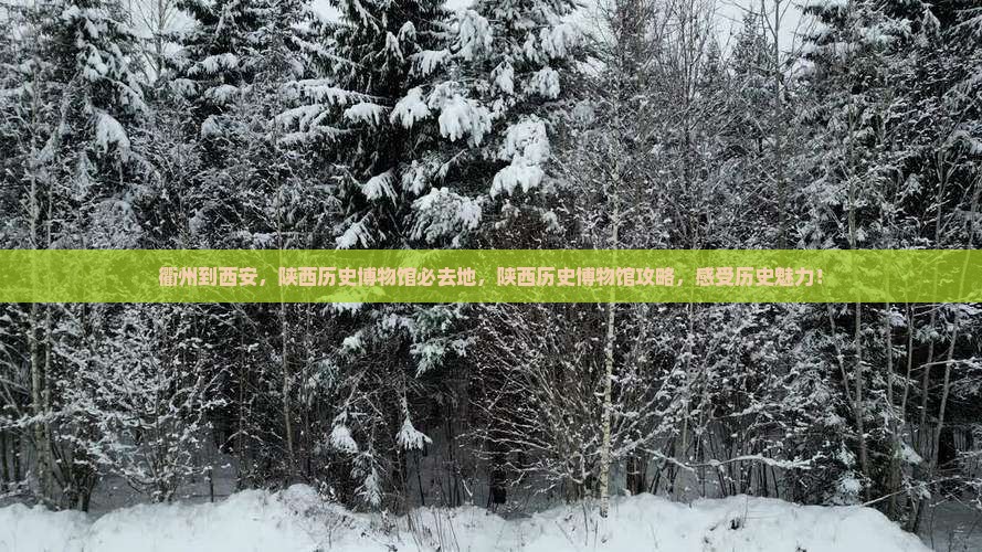 衢州到西安陕西历史博物馆必去地