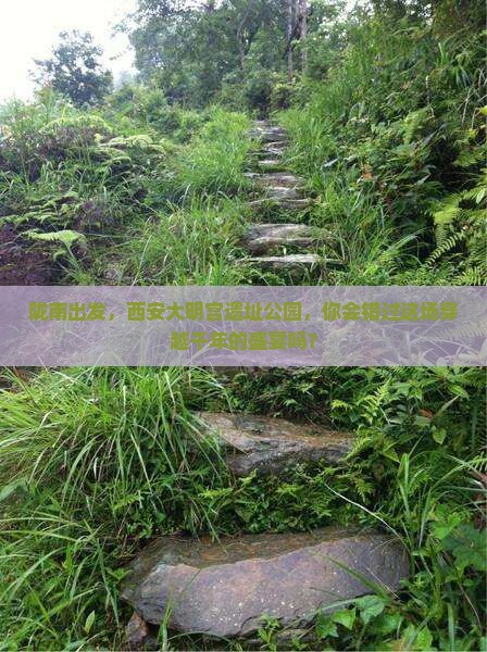 陇南去西安大明宫国家遗址公园景点