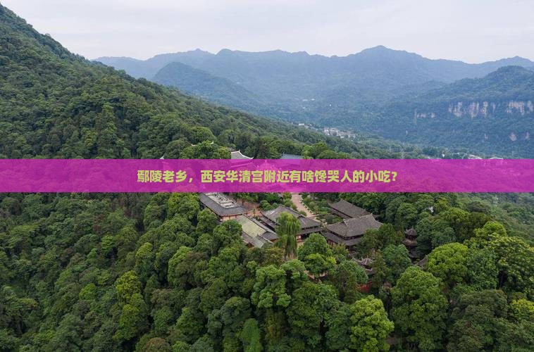 鄢陵县去西安华清宫旅游小吃