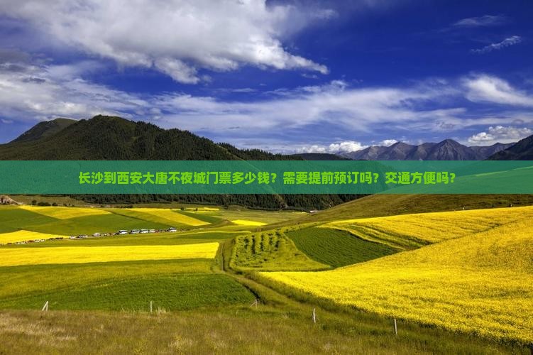 长沙到西安大唐不夜城门票