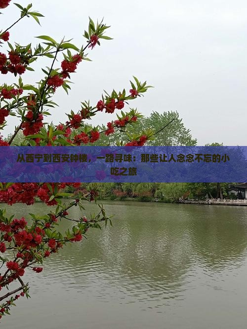 西宁到西安钟楼旅游小吃
