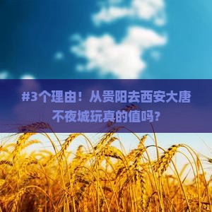 贵阳到西安大唐不夜城必去地
