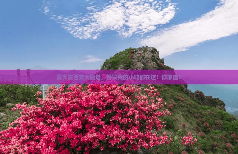夏天去西安大雁塔旅游小吃
