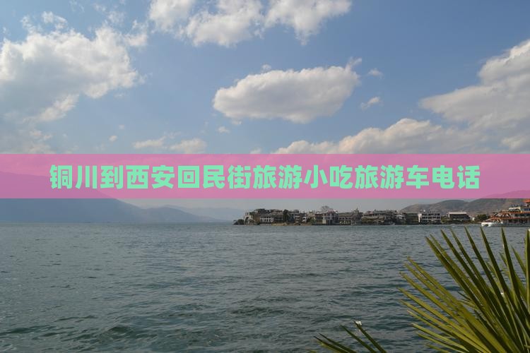铜川到西安回民街旅游小吃